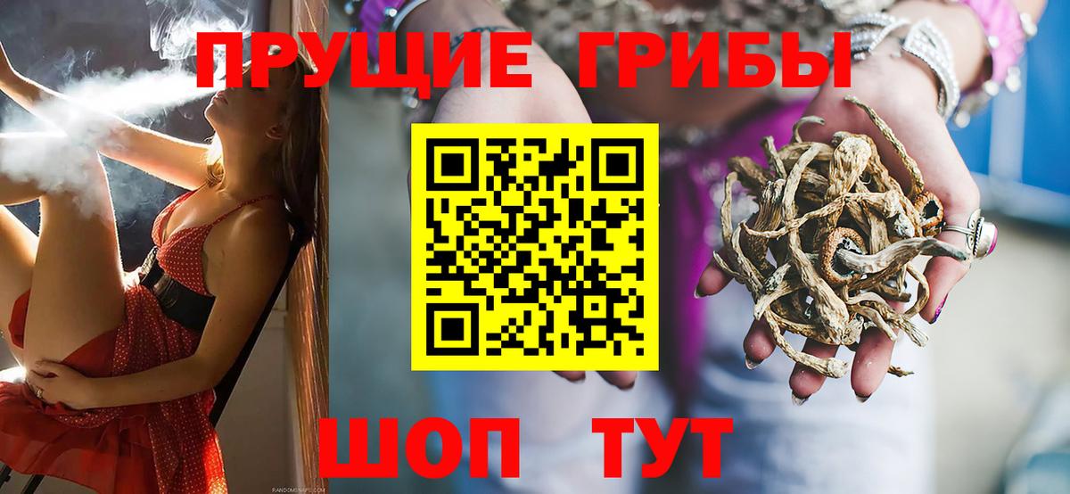 закладки  Псилоцибиновые грибы Psilocybe  Вход с VPN  Октябрьский 