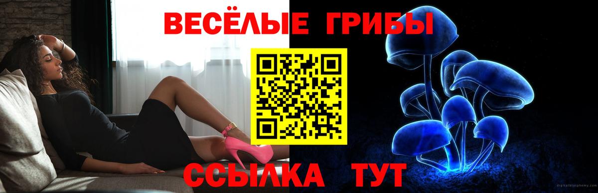 Галлюциногенные грибы прущие грибы Октябрьский